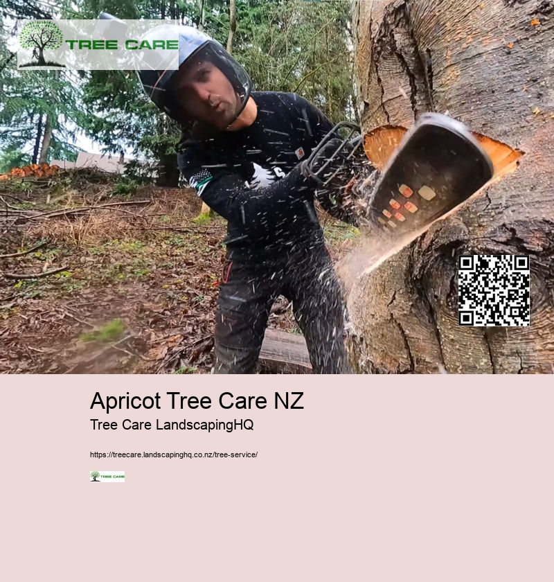 Arborist Costs NZ