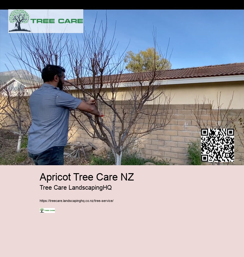 Apricot Tree Care NZ