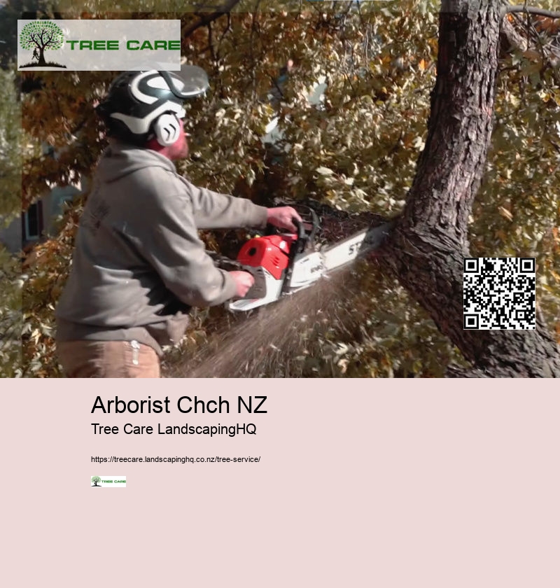 Arborist Katikati