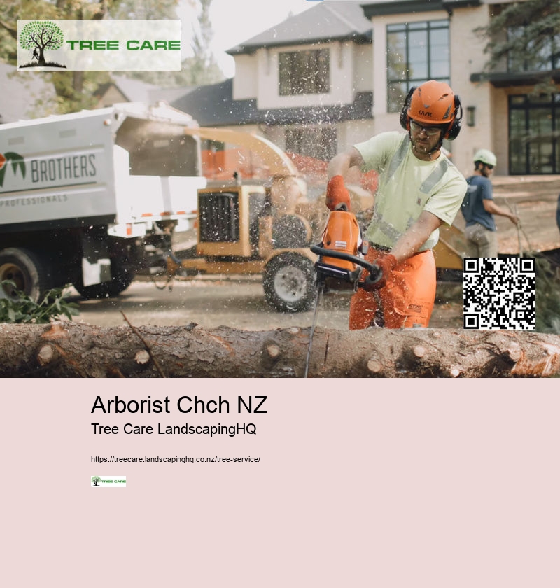 Arborist Chch NZ