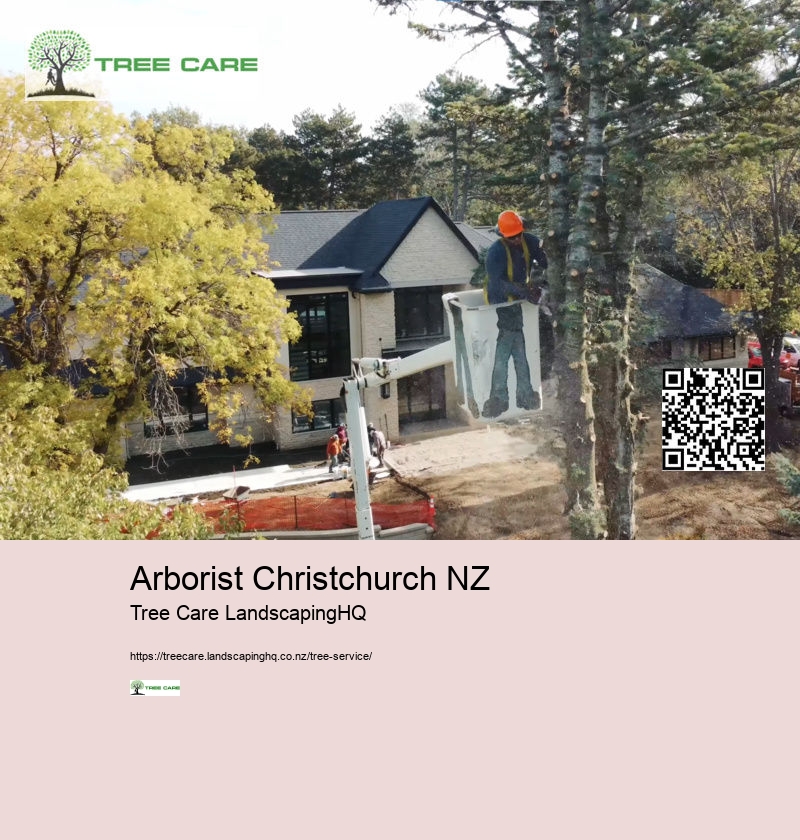 Tree Services Whakatane