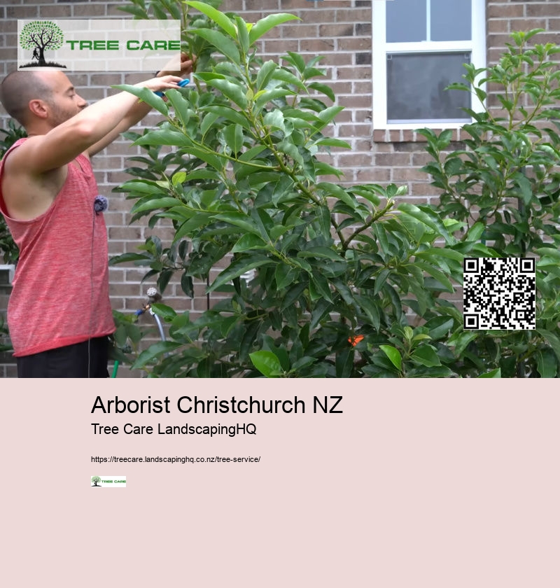 Arborist Lower Hutt