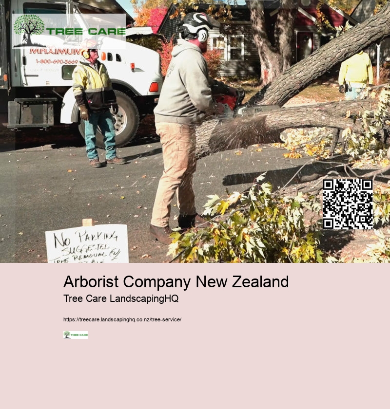 Arborist Company New Zealand