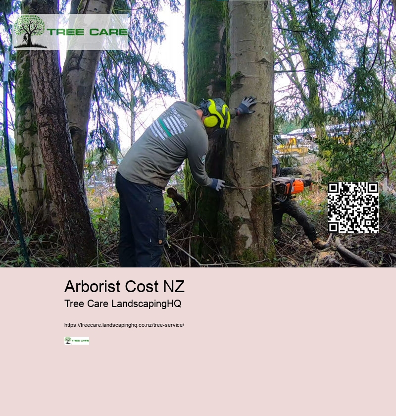 Arborist Cost NZ