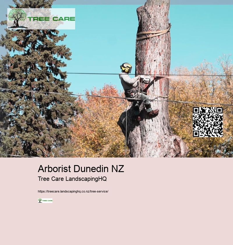 Tree Arborist Rotorua