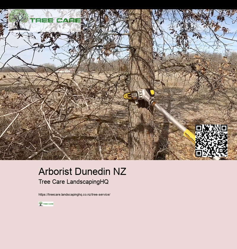 Arborist Christchurch NZ