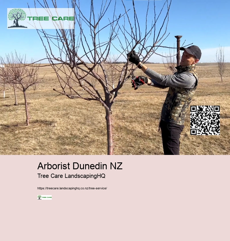 Arborist Dunedin NZ