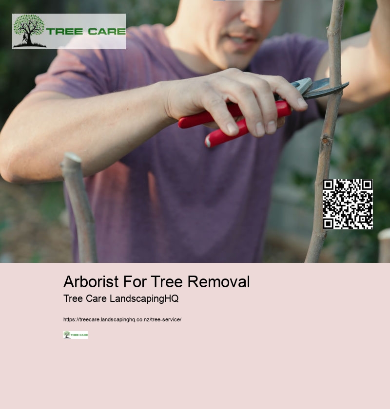 Arborist For Tree Removal