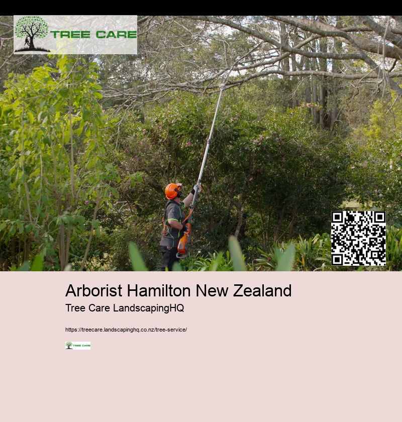 Arborist Hamilton New Zealand