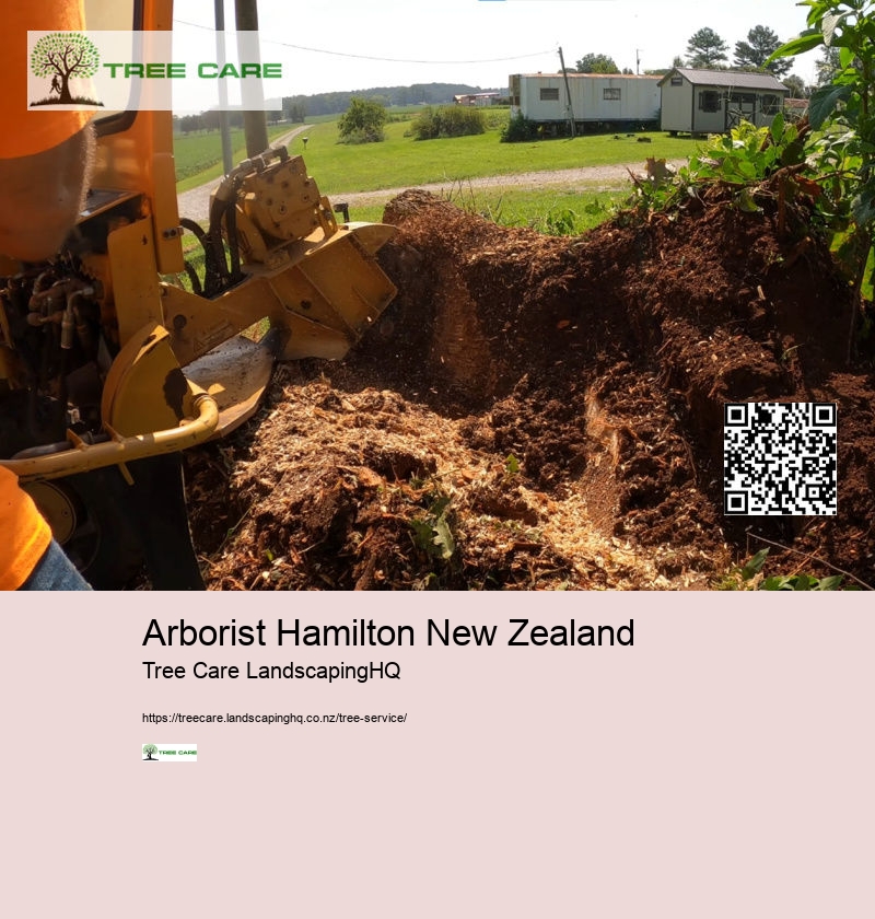 Tree Removal Dunedin