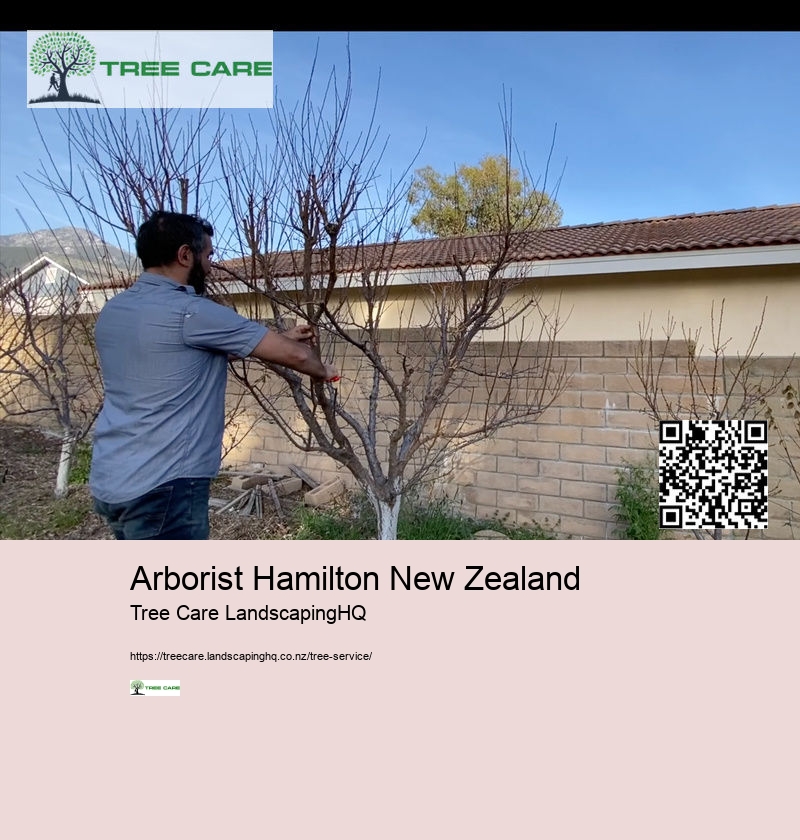 Tree Service Auckland