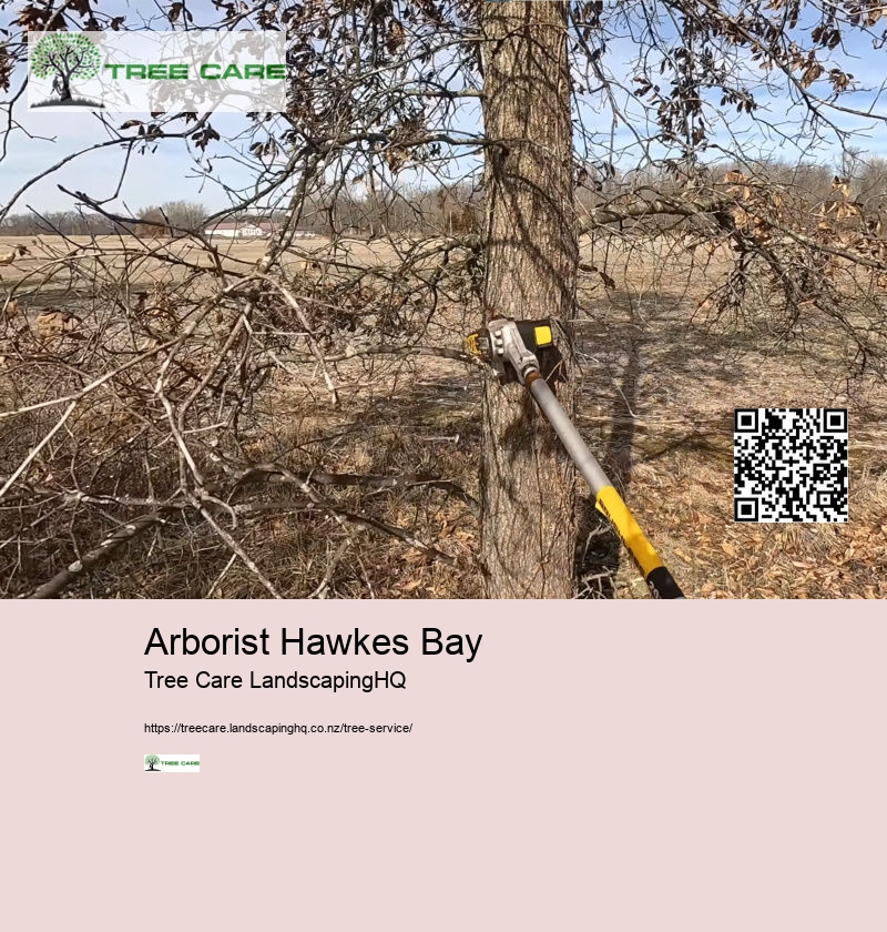 Arborist Hawkes Bay