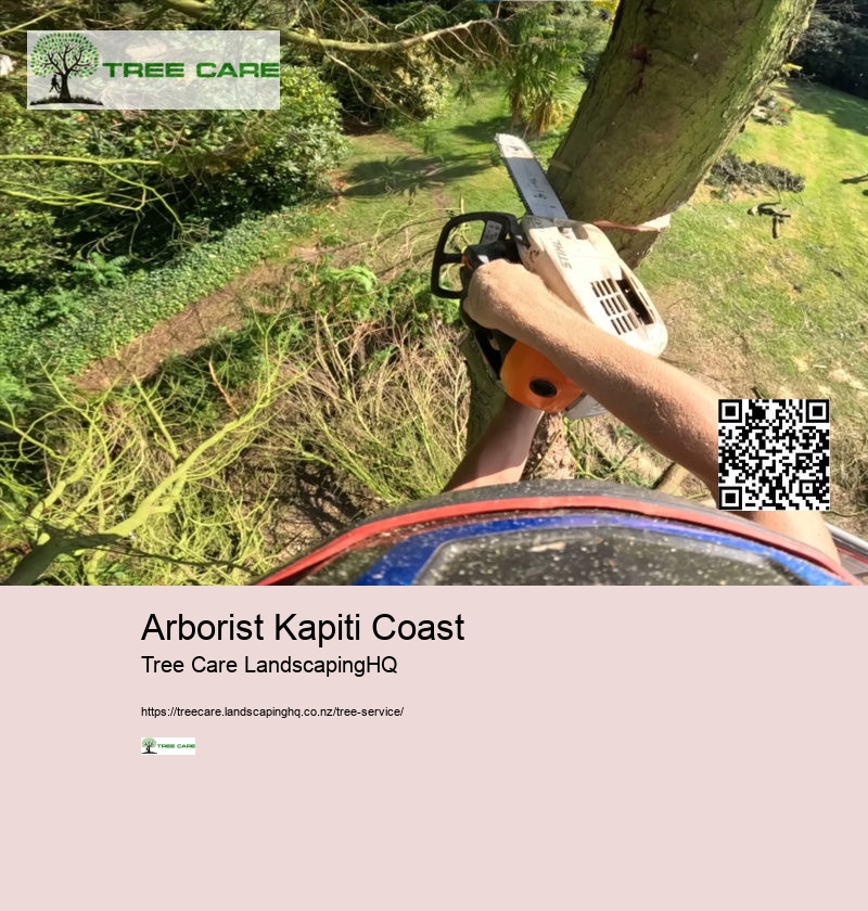 Arborist In Nelson NZ