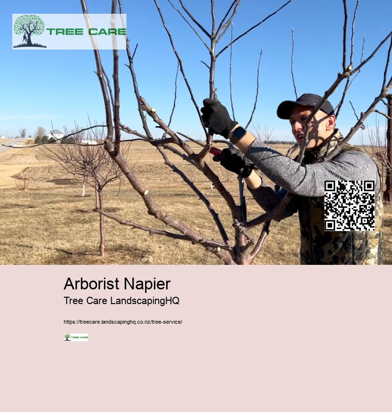 Arborist Napier