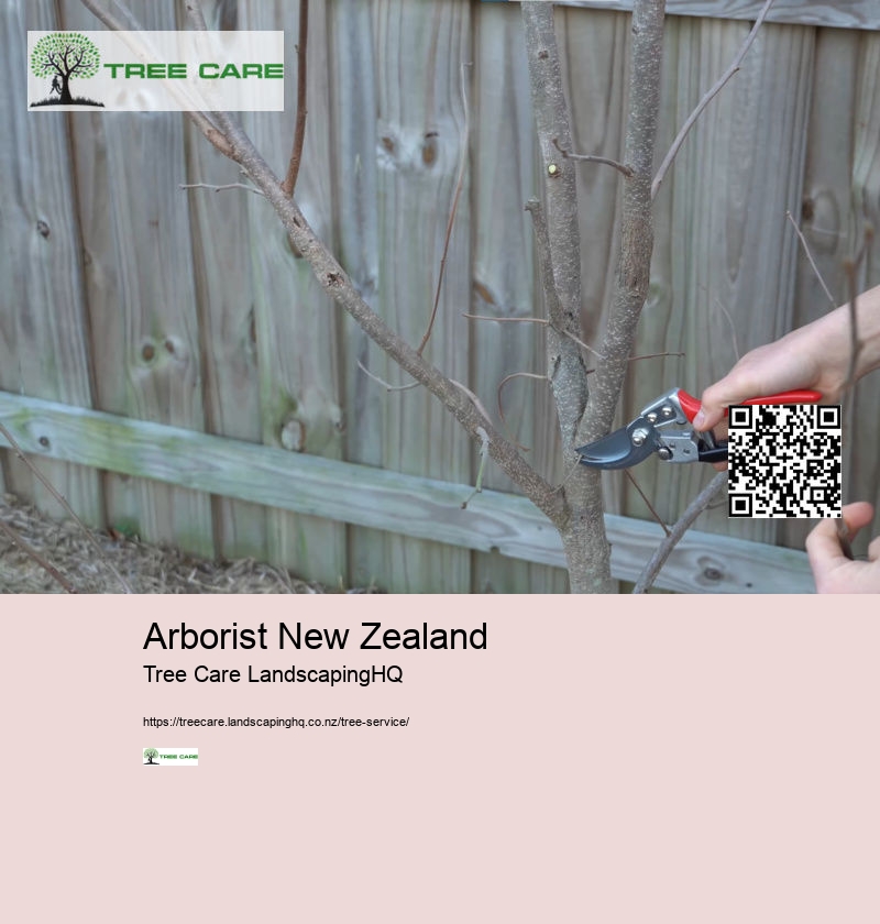 Tree Service East Auckland