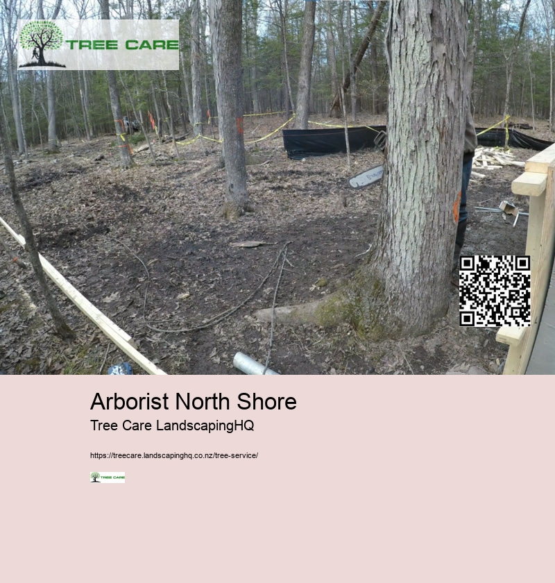 Arborist North Shore