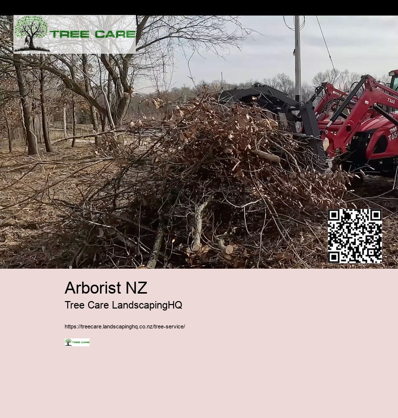 Arborist Cost NZ