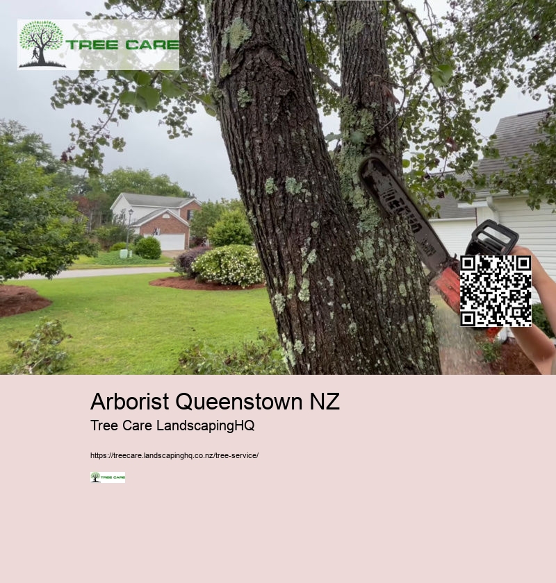 Arborist Whakatane