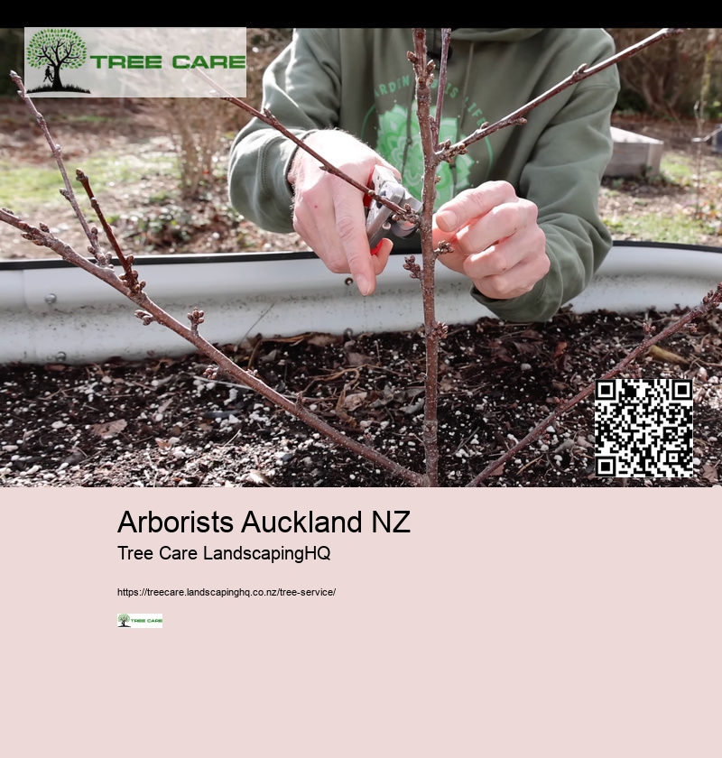 Arborist NZ