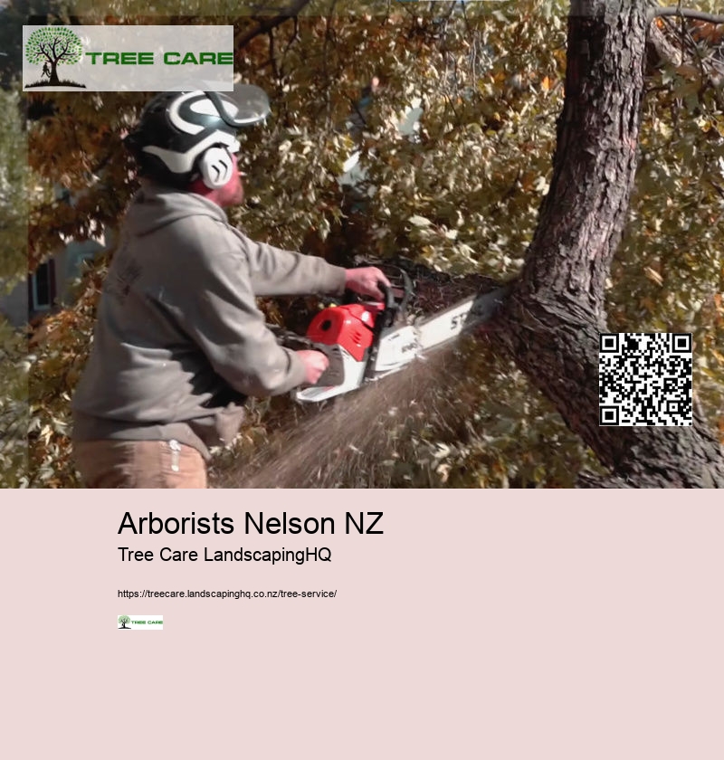 Hawkes Bay Tree Surgeons