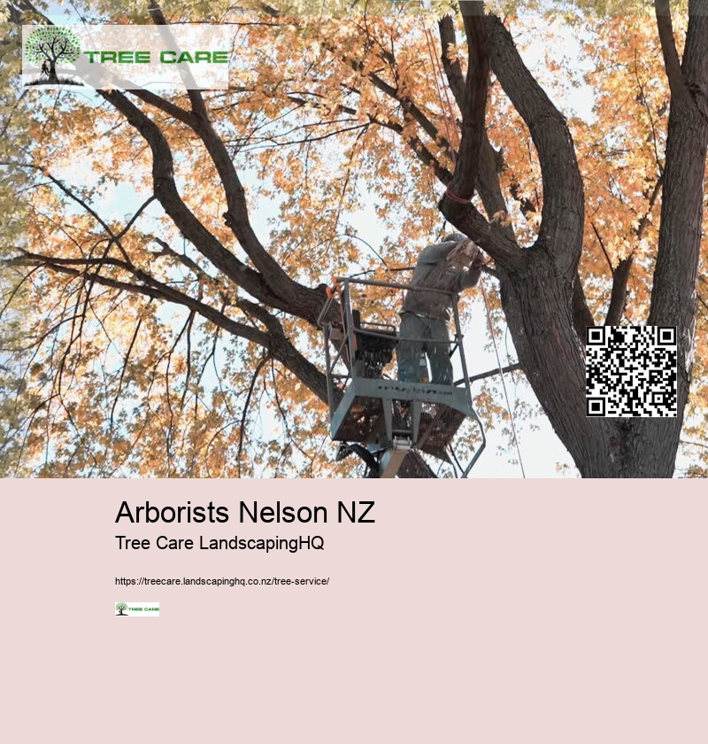 Arborist Cost Per Hour NZ