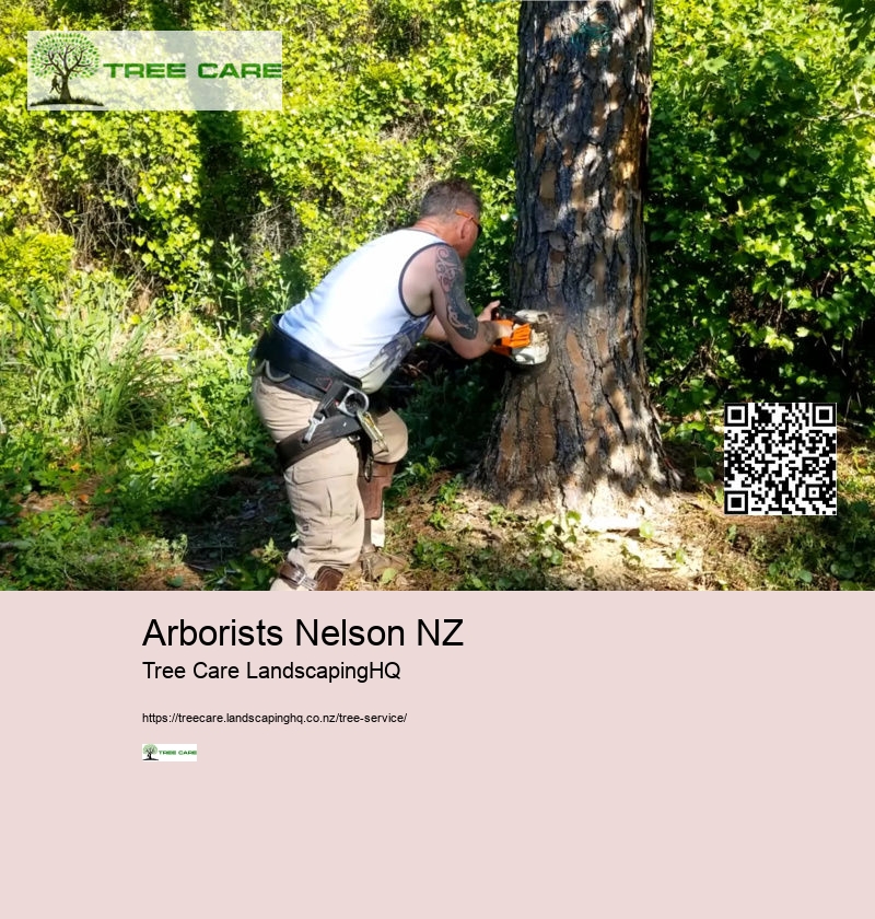 Arborists Nelson NZ