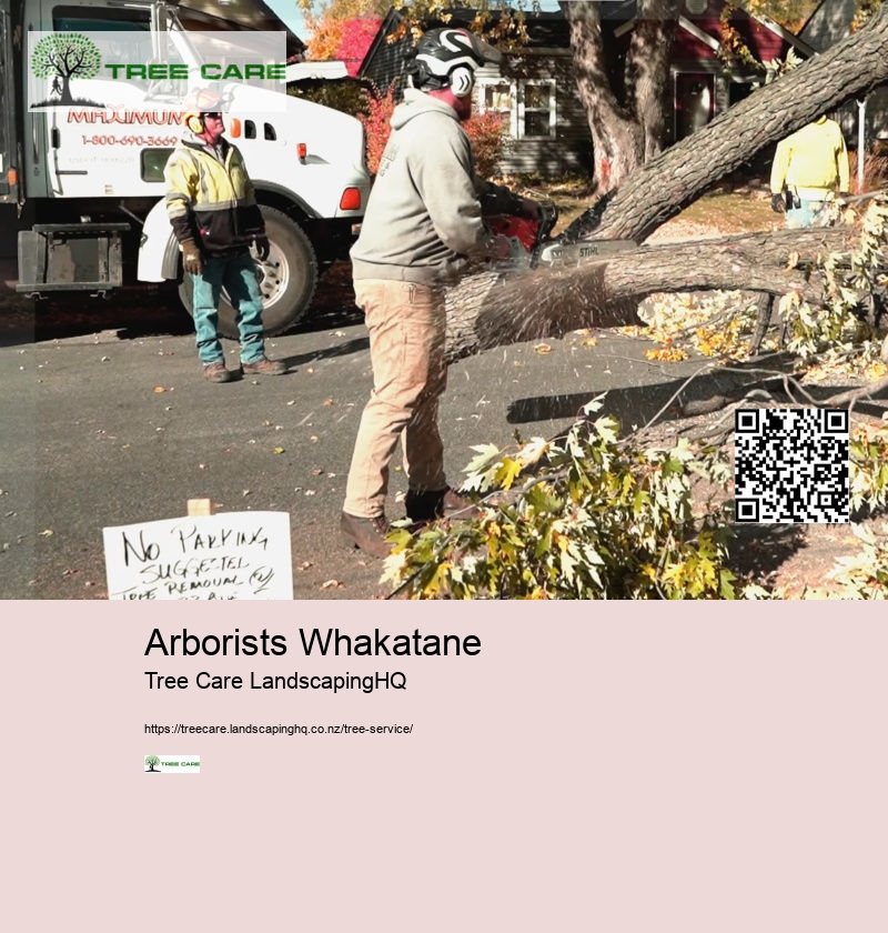 Arborists Whakatane