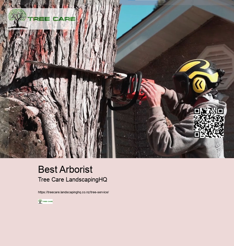 Free Arborist Consultation