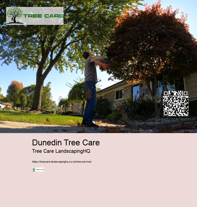 Consulting Arborist Auckland NZ