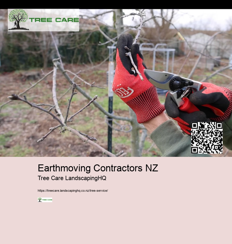 Stump Grinding Tauranga