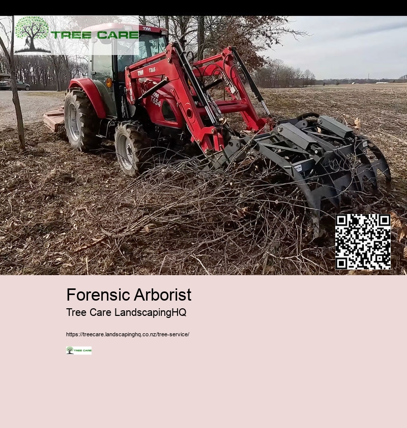 Forensic Arborist