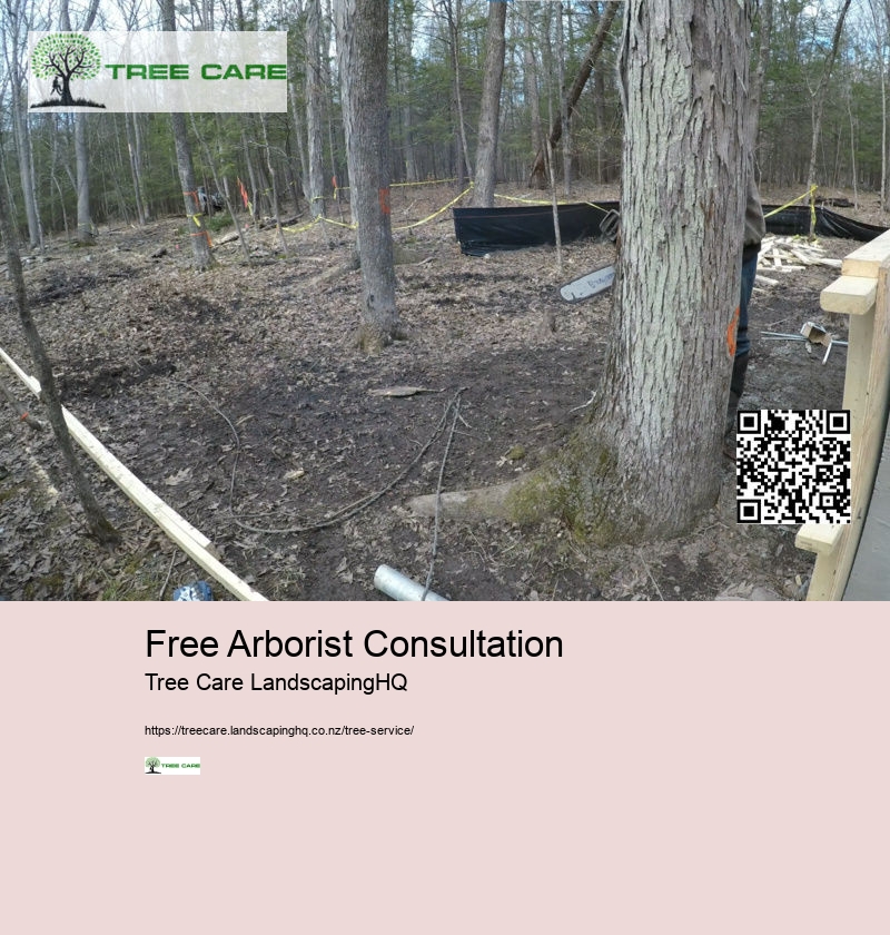 Free Arborist Consultation