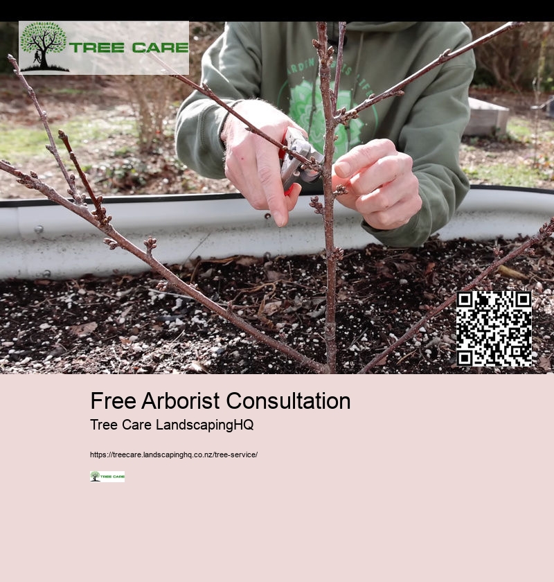 Arborist North Shore