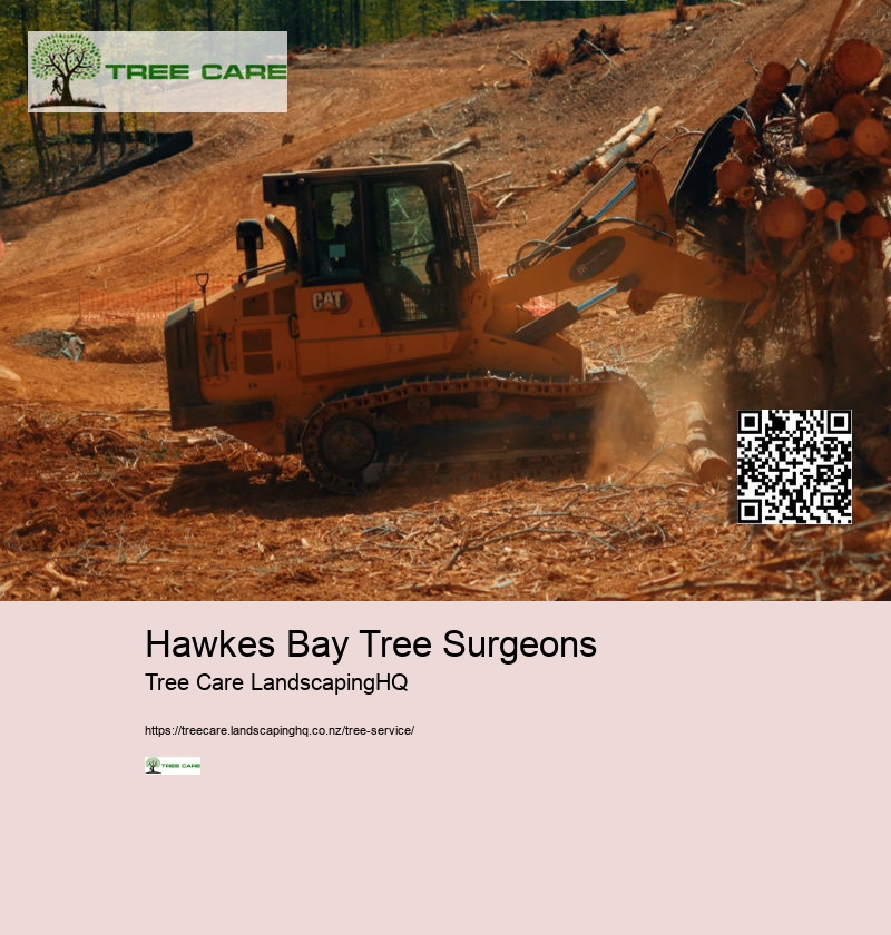 Hawkes Bay Tree Surgeons