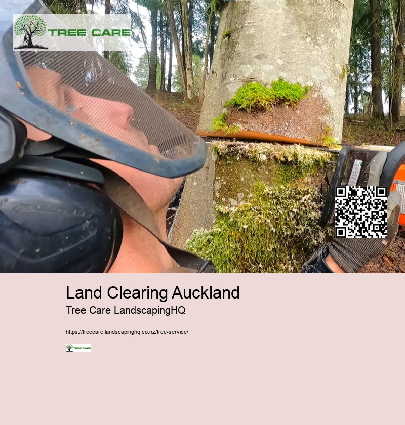 Land Clearing Auckland