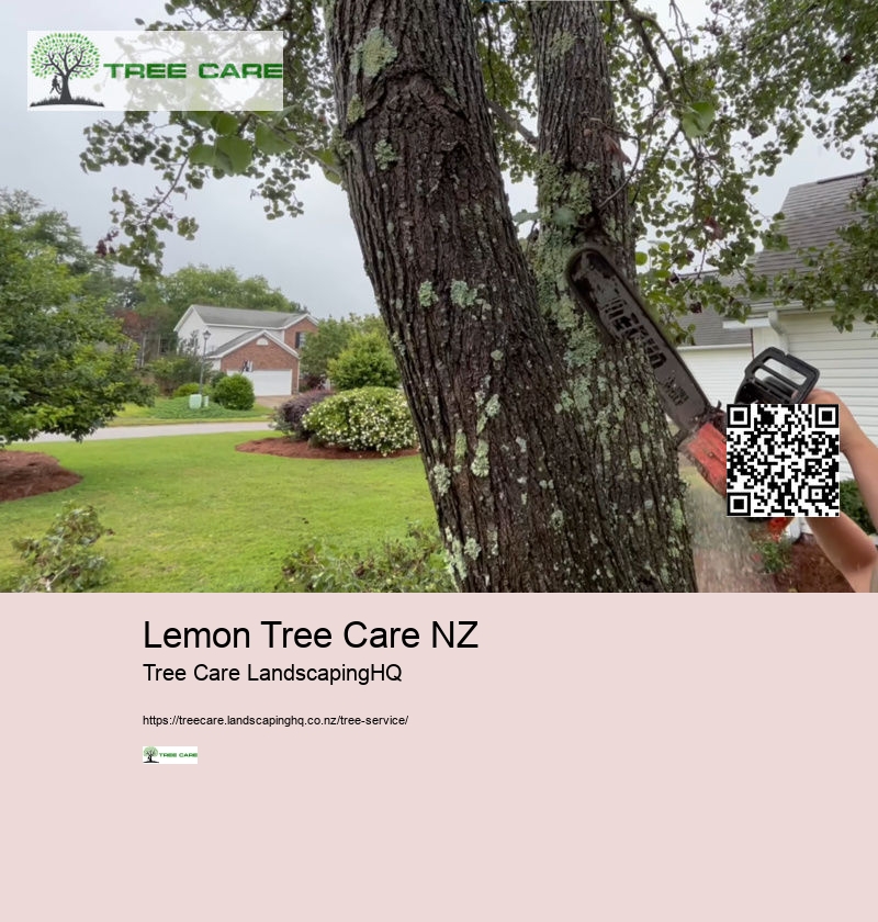 Tree Services Whangarei