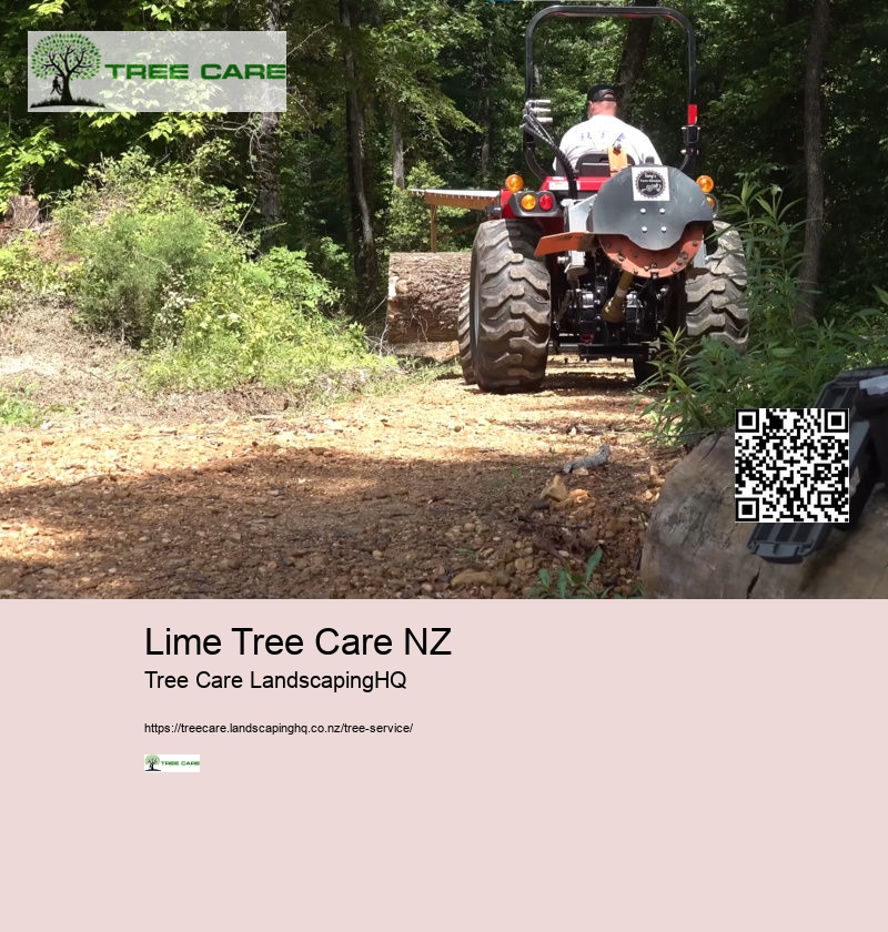 Arborist Cost NZ