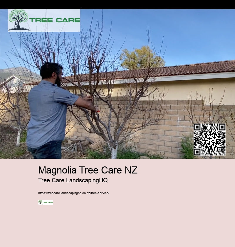 Magnolia Tree Care NZ