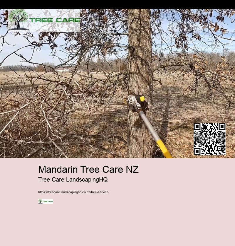 Mandarin Tree Care NZ