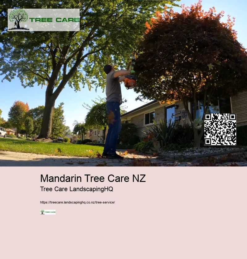 Tree Pruning Hamilton NZ