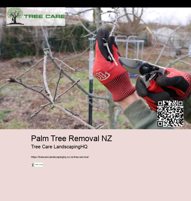 Tree Removal Whakatane