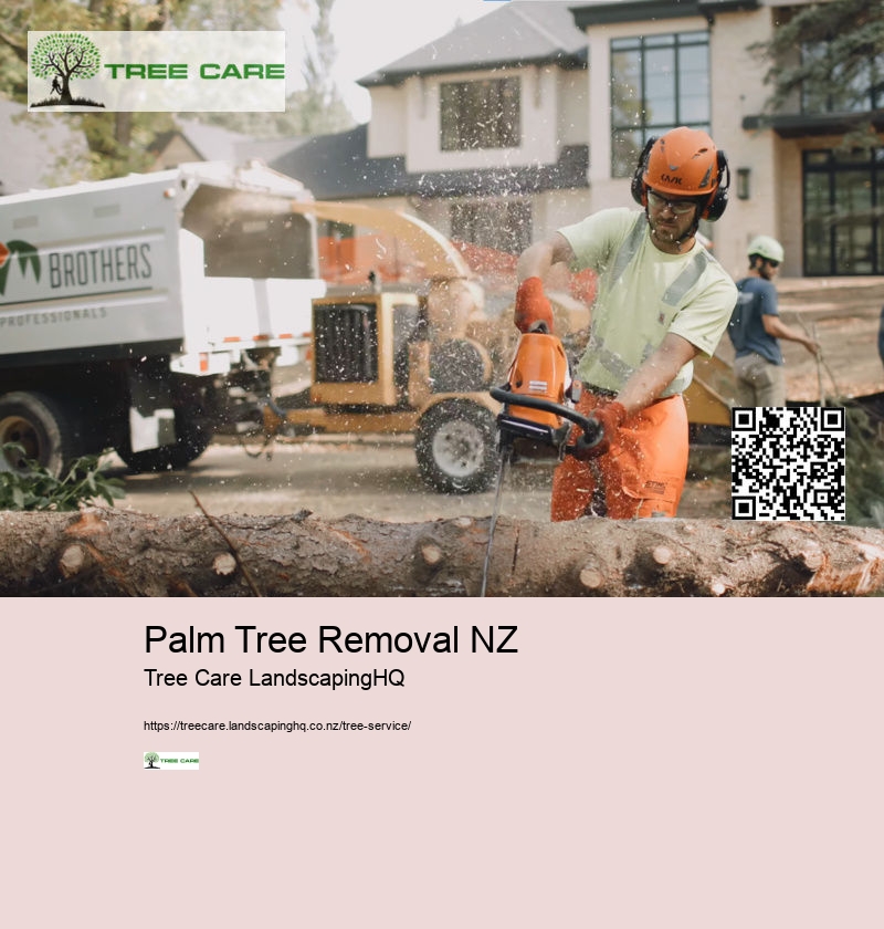 Palm Tree Removal NZ