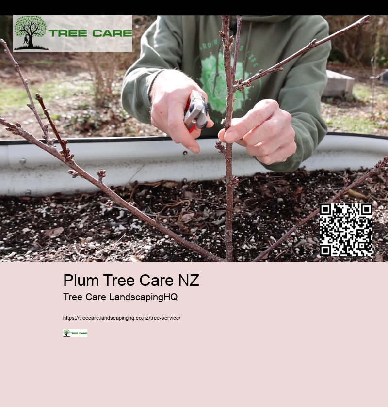 Tree Services New Plymouth