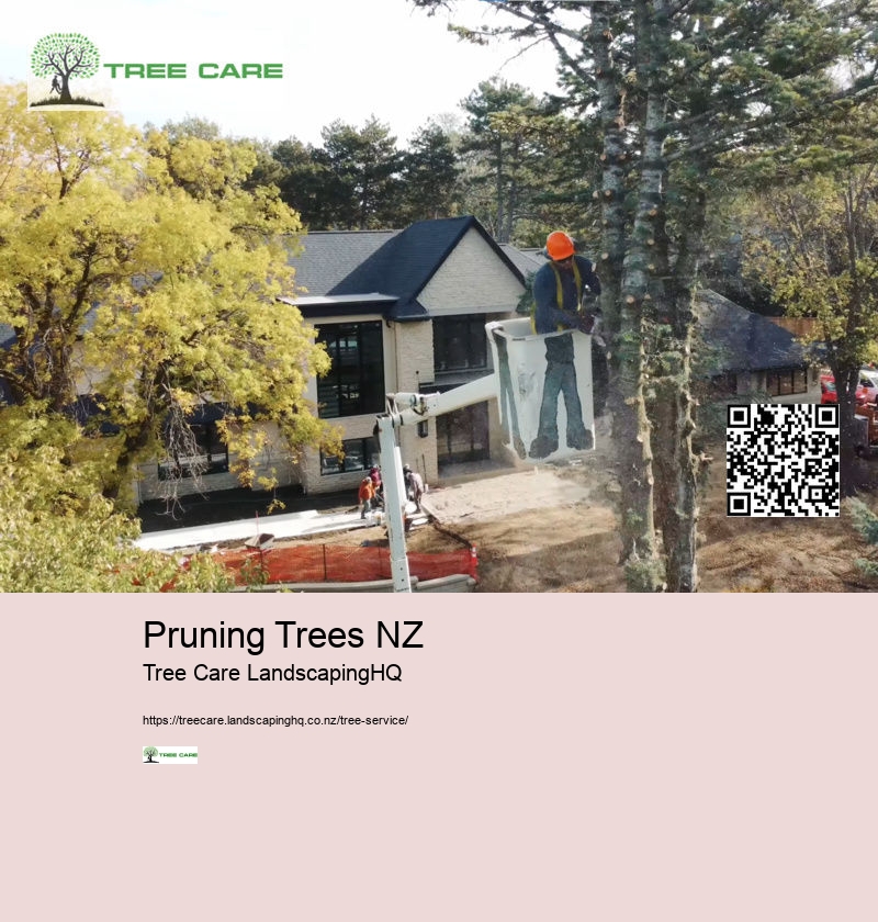 Tree Trimmer NZ