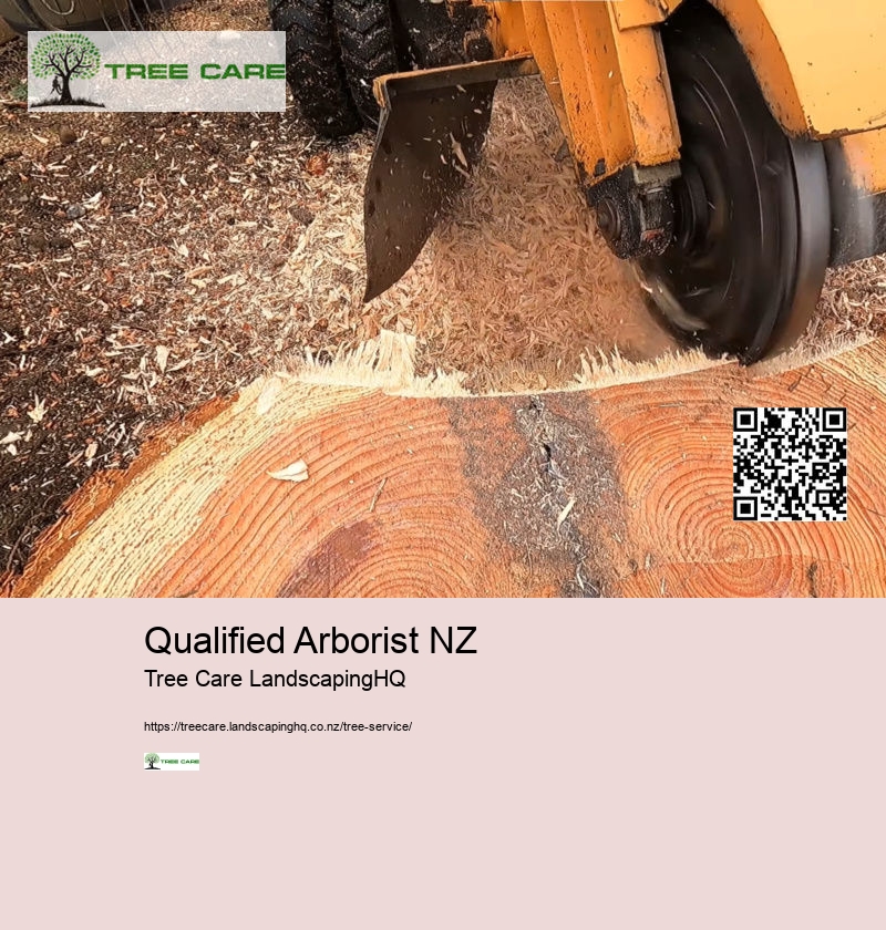 Tree Removal New Plymouth