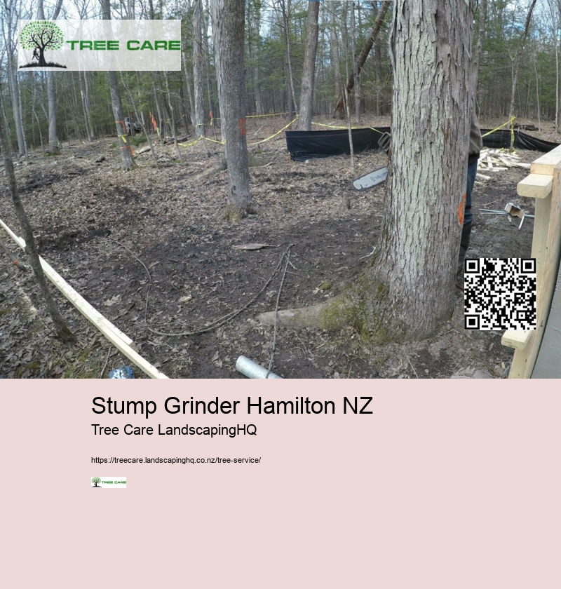 Arborist Hourly Rate NZ