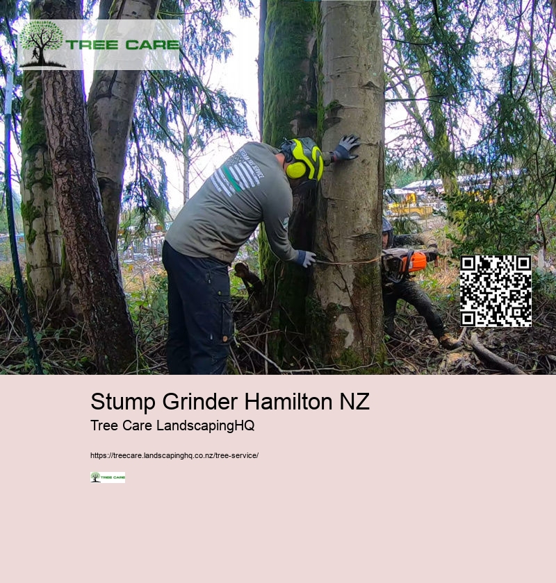 Arborist NZ