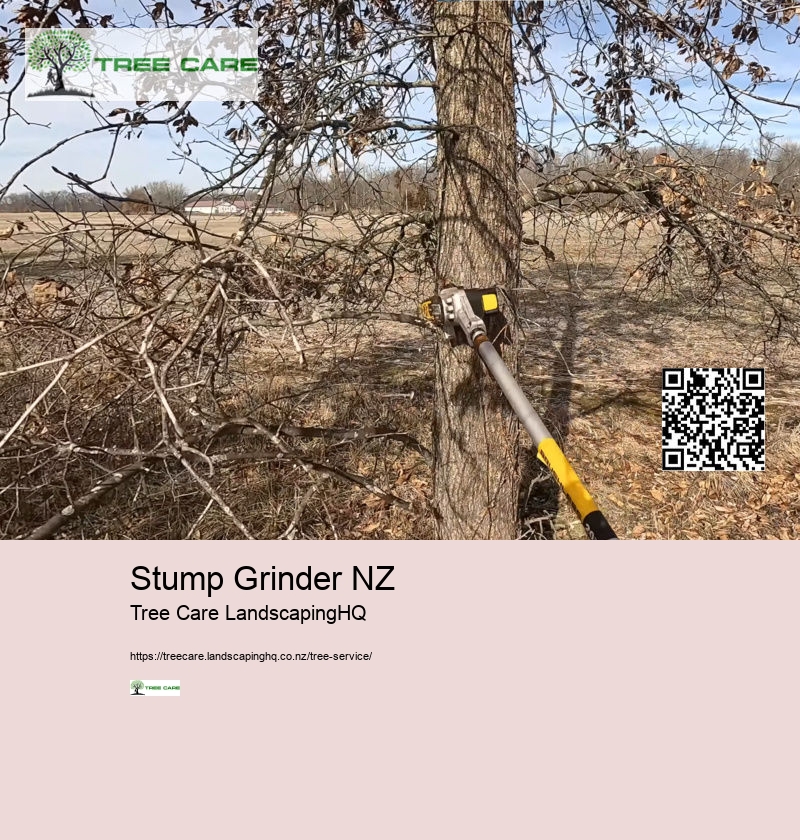 Stump Grinder NZ