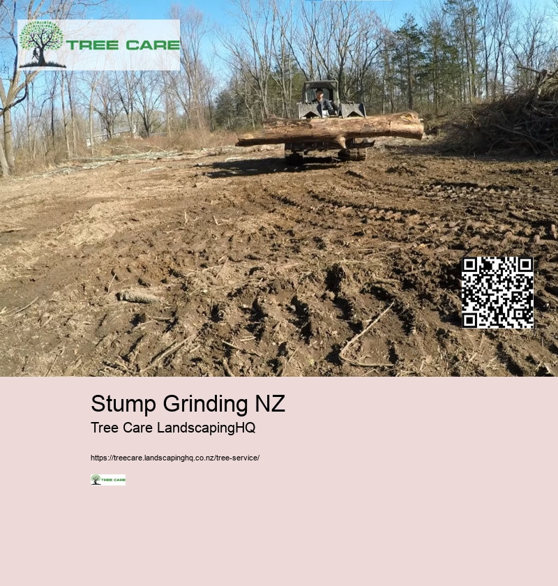 Stump Grinding NZ