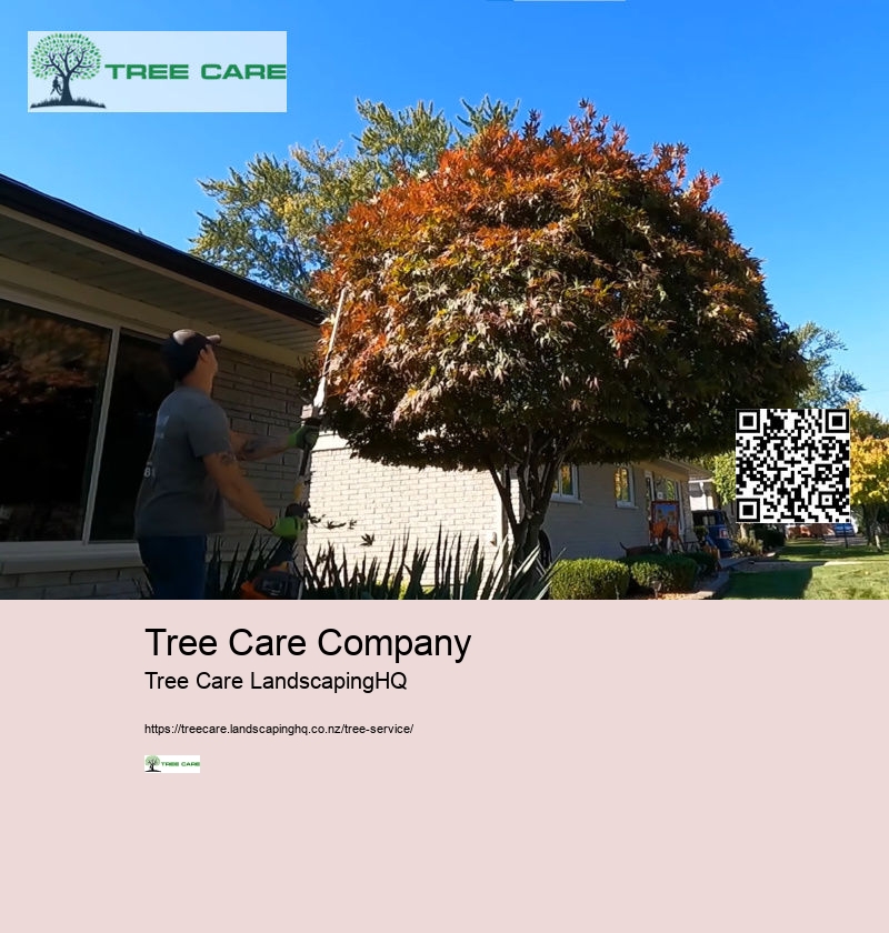 Tree Trimming And Pruning NZ